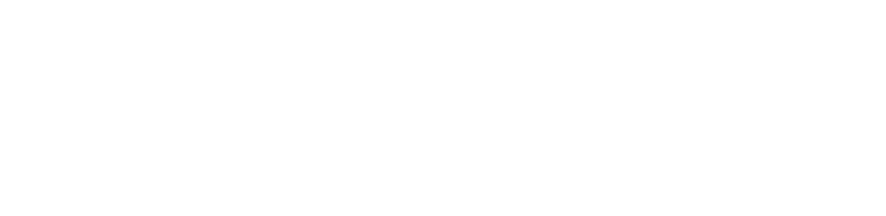 Logo Berger HighRes - wit